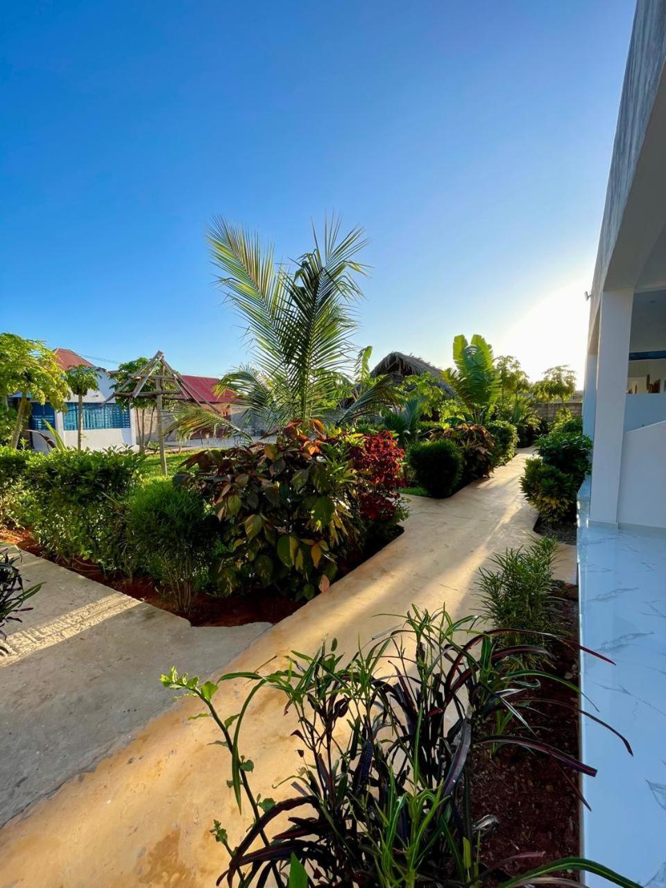 Kendwa Crystal Coast Hotel Dış mekan fotoğraf