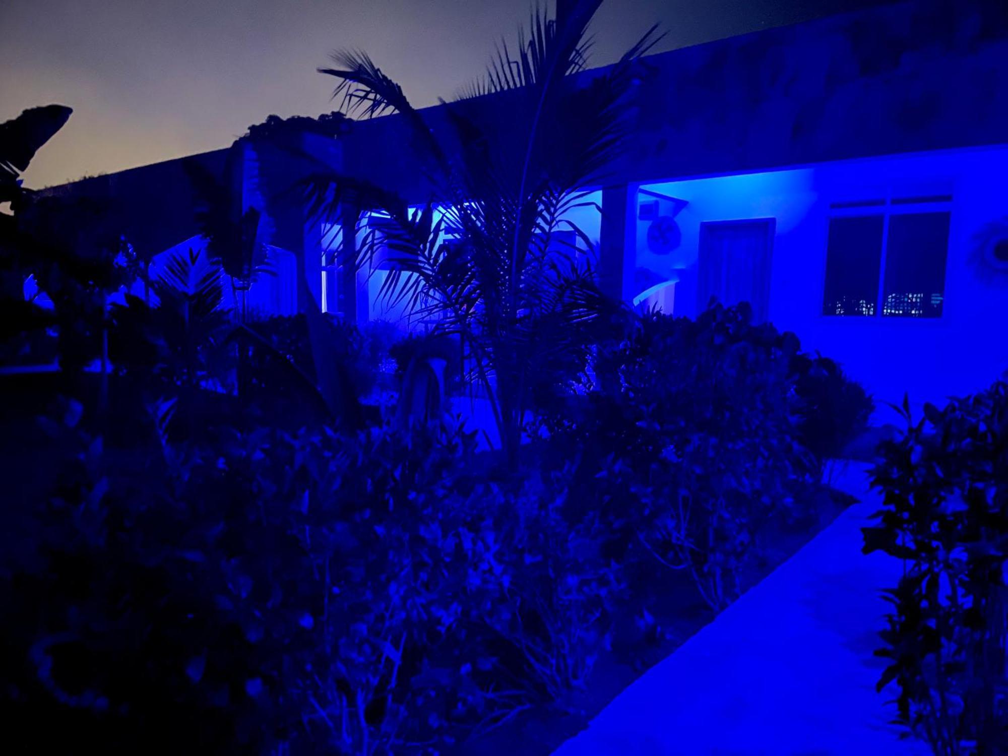 Kendwa Crystal Coast Hotel Dış mekan fotoğraf